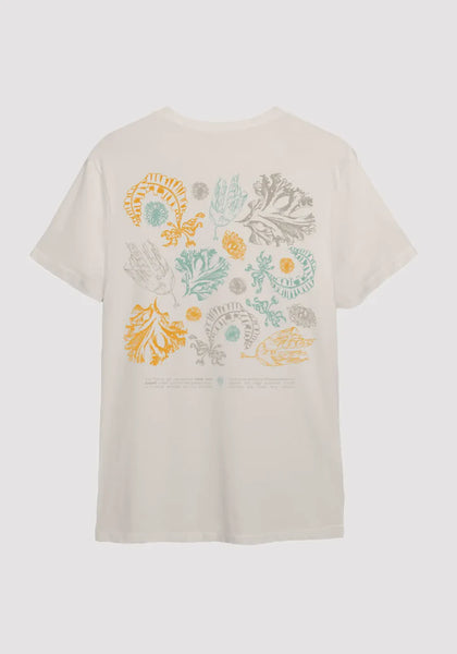 Ocean Born Foundation Seaweed T-Shirt